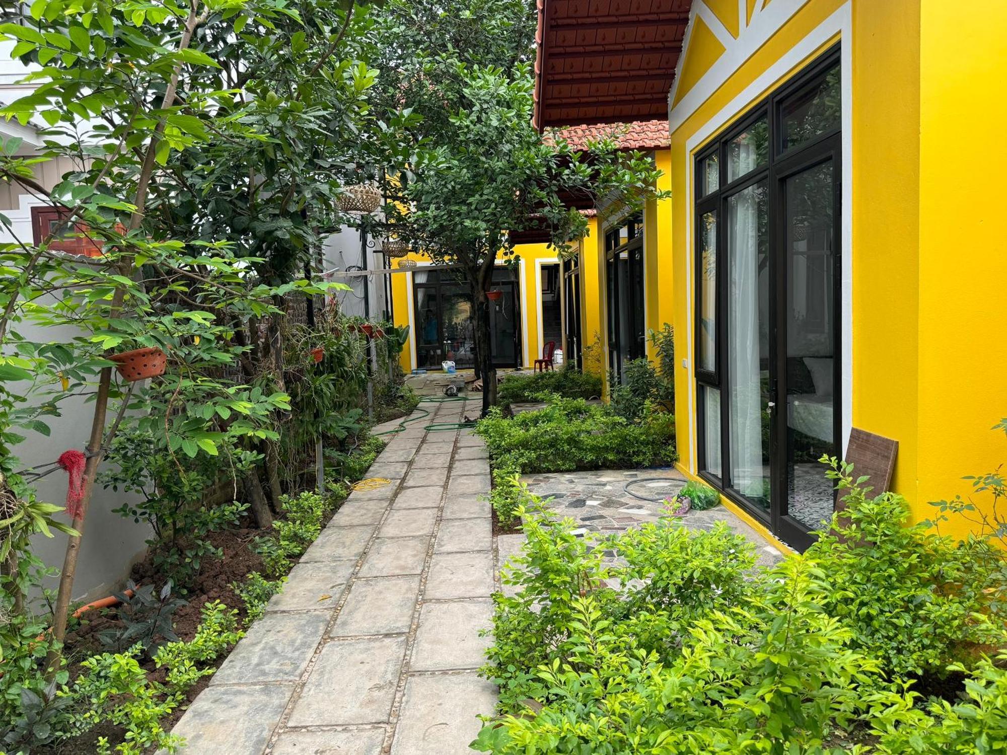 Azalea Tam Coc Ninh Binh Pension Buitenkant foto